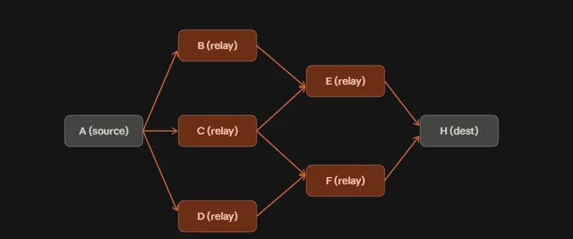 Every relay forwards the message, so it reaches the destination by every available path